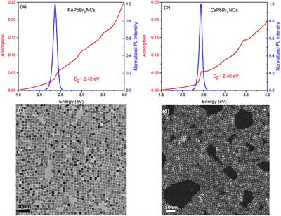 Robust Hydrophobic and Hydrophilic Polymer Fibers Sensitized by Inorganic and Hybrid Lead Halide Perovskite Nanocrystal Emitters